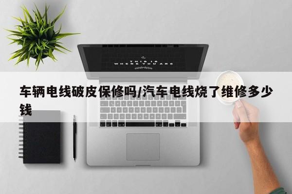 车辆电线破皮保修吗/汽车电线烧了维修多少钱