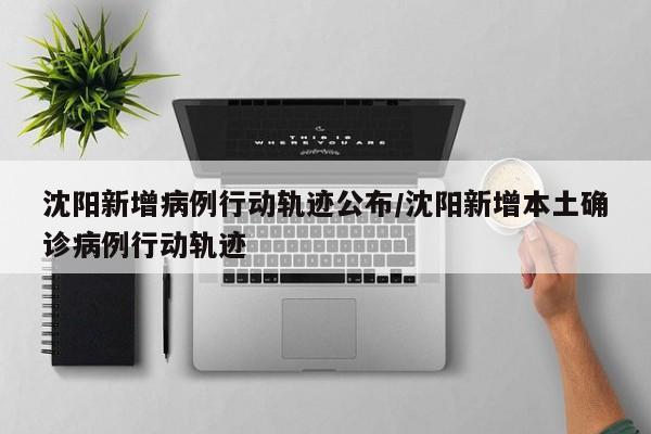 沈阳新增病例行动轨迹公布/沈阳新增本土确诊病例行动轨迹