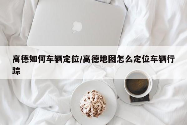 高德如何车辆定位/高德地图怎么定位车辆行踪