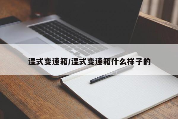 湿式变速箱/湿式变速箱什么样子的