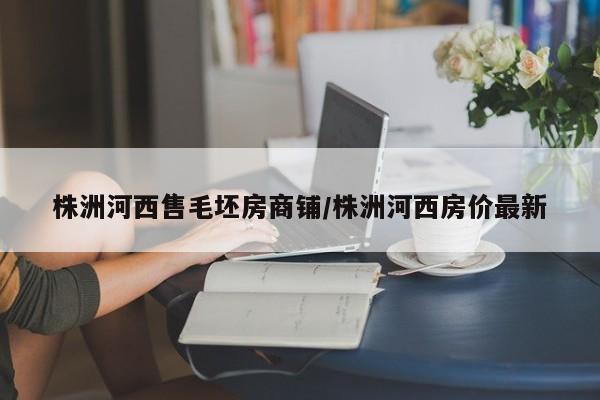 株洲河西售毛坯房商铺/株洲河西房价最新