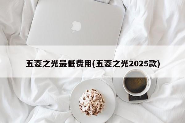 五菱之光最低费用(五菱之光2025款)
