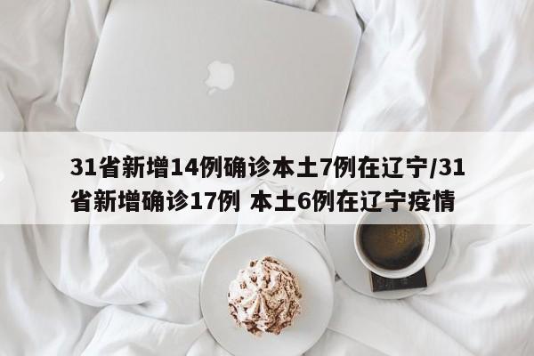 31省新增14例确诊本土7例在辽宁/31省新增确诊17例 本土6例在辽宁疫情