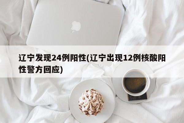 辽宁发现24例阳性(辽宁出现12例核酸阳性警方回应)
