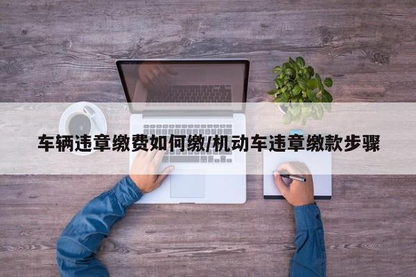 车辆违章缴费如何缴/机动车违章缴款步骤