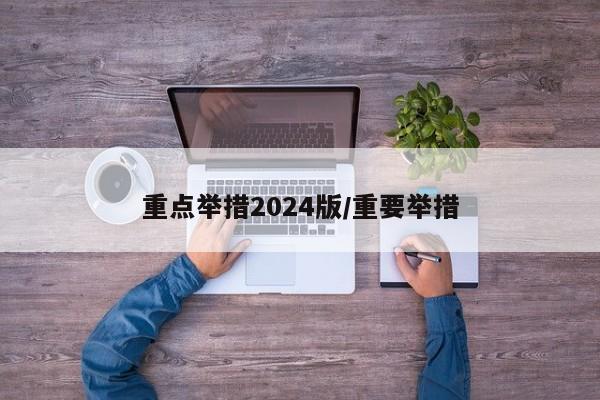 重点举措2024版/重要举措