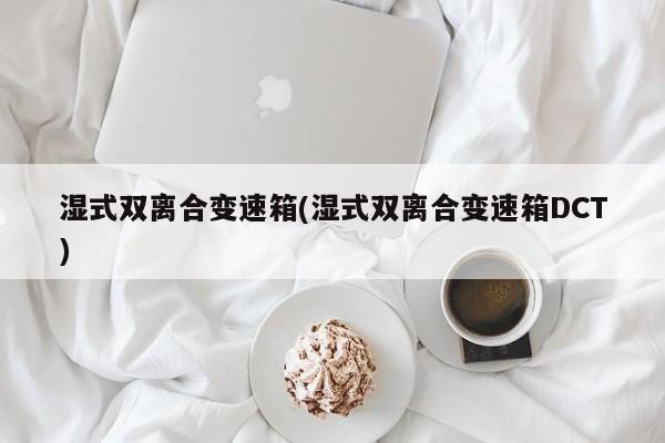 湿式双离合变速箱(湿式双离合变速箱DCT)