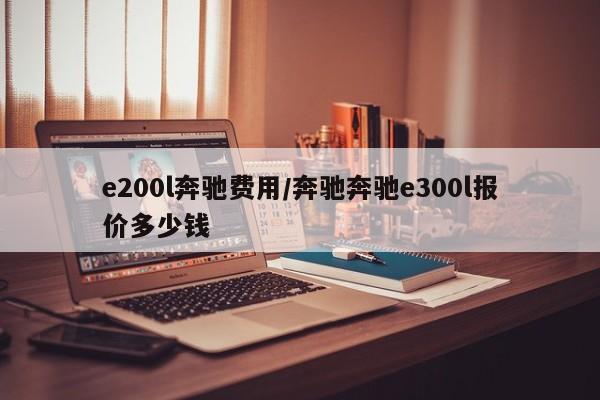 e200l奔驰费用/奔驰奔驰e300l报价多少钱