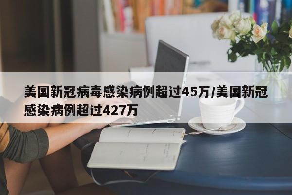 美国新冠病毒感染病例超过45万/美国新冠感染病例超过427万