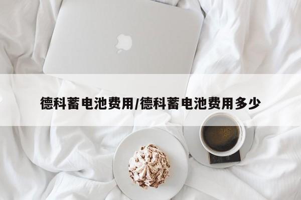 德科蓄电池费用/德科蓄电池费用多少
