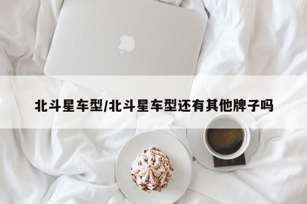 北斗星车型/北斗星车型还有其他牌子吗