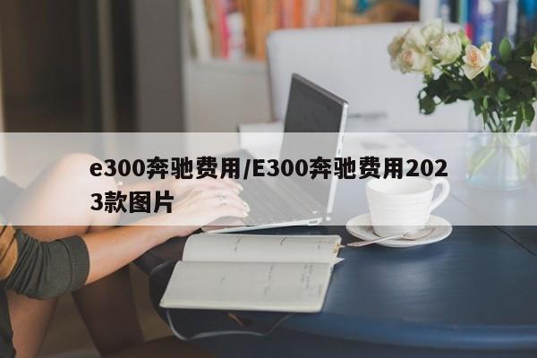 e300奔驰费用/E300奔驰费用2023款图片