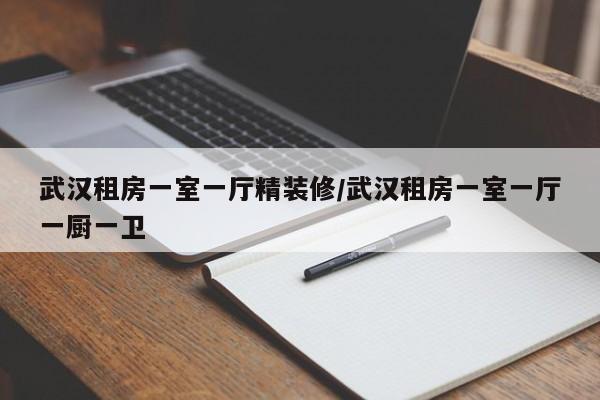 武汉租房一室一厅精装修/武汉租房一室一厅一厨一卫