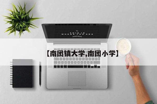 【南团镇大学,南团小学】