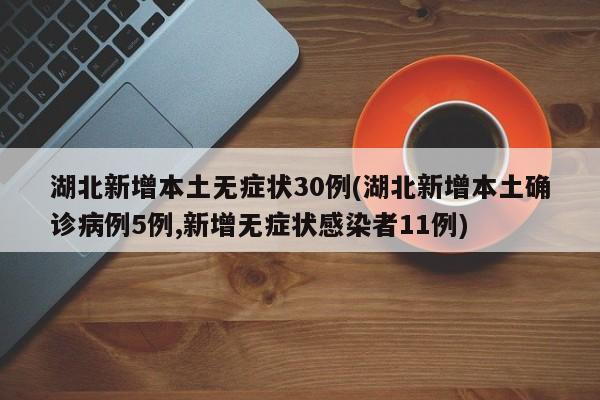湖北新增本土无症状30例(湖北新增本土确诊病例5例,新增无症状感染者11例)