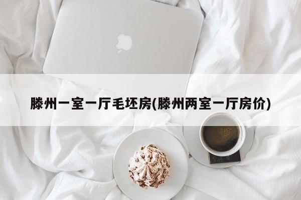 滕州一室一厅毛坯房(滕州两室一厅房价)