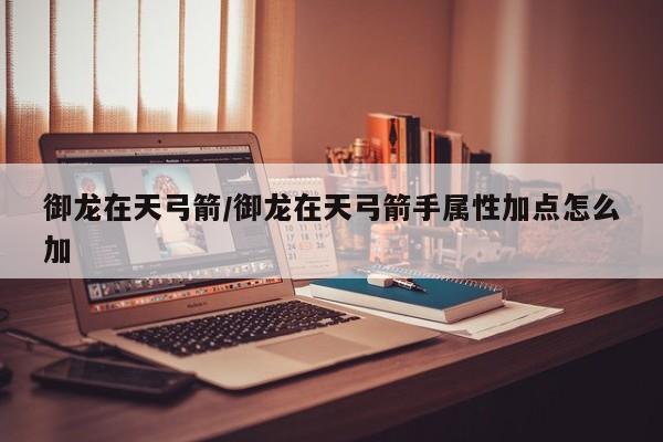 御龙在天弓箭/御龙在天弓箭手属性加点怎么加