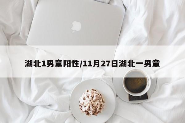 湖北1男童阳性/11月27日湖北一男童