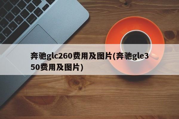 奔驰glc260费用及图片(奔驰gle350费用及图片)