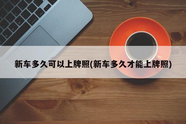 新车多久可以上牌照(新车多久才能上牌照)