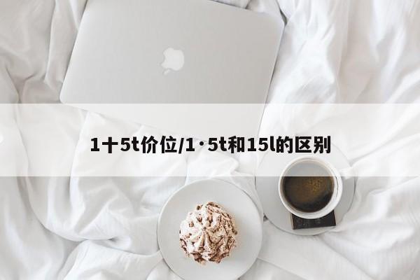 1十5t价位/1·5t和15l的区别
