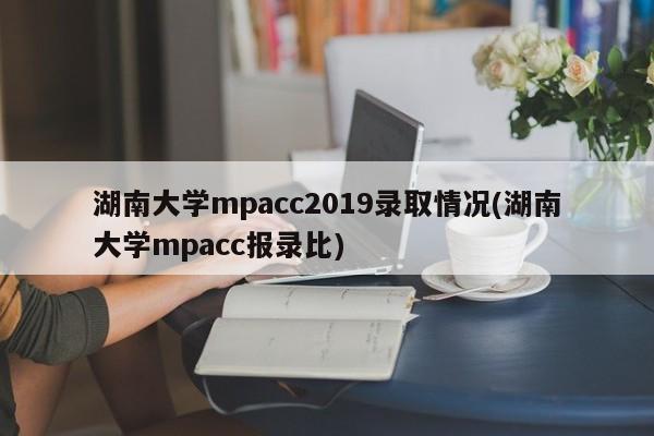湖南大学mpacc2019录取情况(湖南大学mpacc报录比)