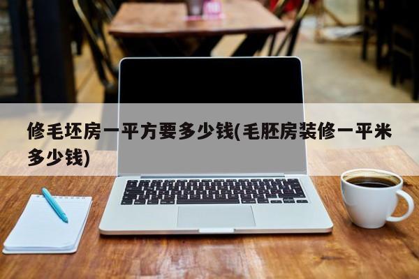 修毛坯房一平方要多少钱(毛胚房装修一平米多少钱)