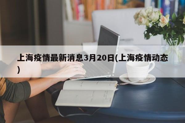 上海疫情最新消息3月20日(上海疫情动态)