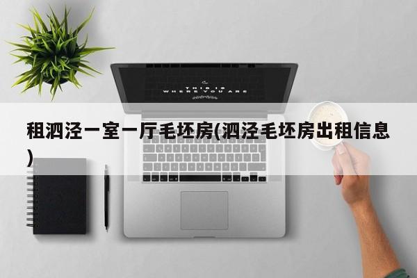 租泗泾一室一厅毛坯房(泗泾毛坯房出租信息)