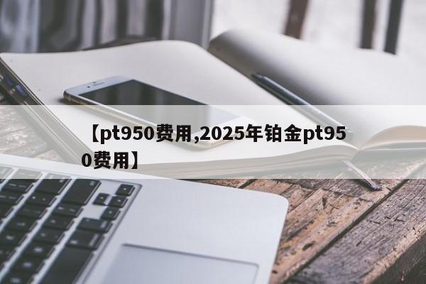 【pt950费用,2025年铂金pt950费用】