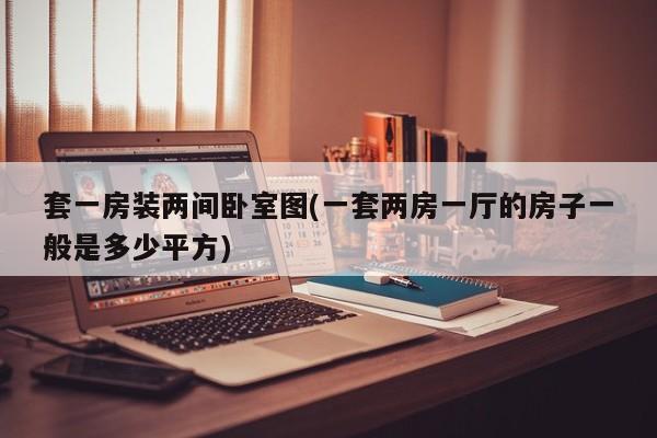 套一房装两间卧室图(一套两房一厅的房子一般是多少平方)