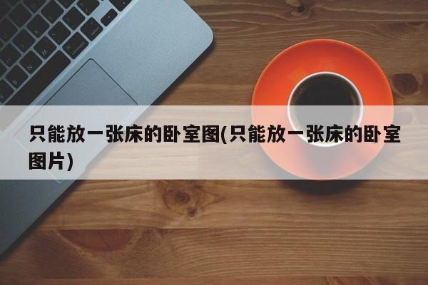 只能放一张床的卧室图(只能放一张床的卧室图片)