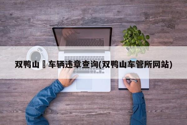 双鸭山帀车辆违章查询(双鸭山车管所网站)