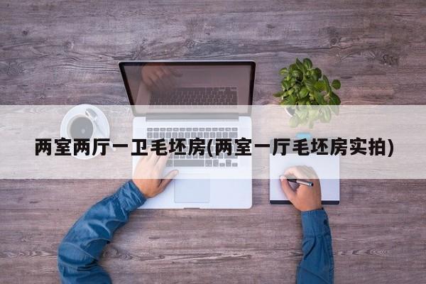 两室两厅一卫毛坯房(两室一厅毛坯房实拍)