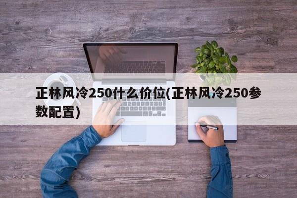 正林风冷250什么价位(正林风冷250参数配置)