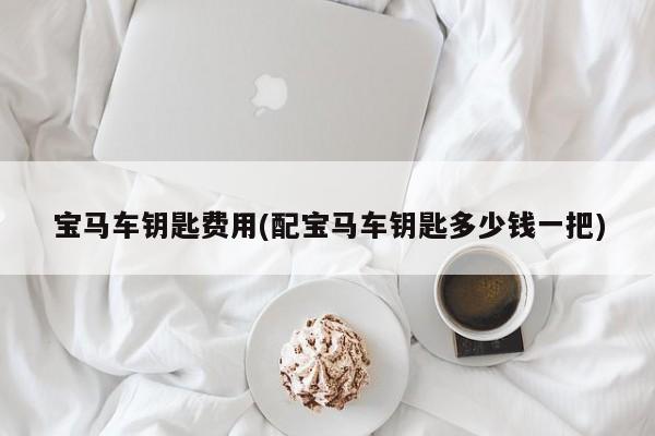 宝马车钥匙费用(配宝马车钥匙多少钱一把)