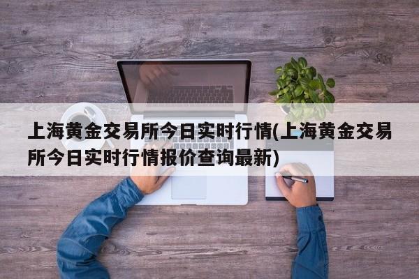 上海黄金交易所今日实时行情(上海黄金交易所今日实时行情报价查询最新)