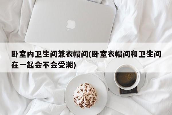 卧室内卫生间兼衣帽间(卧室衣帽间和卫生间在一起会不会受潮)