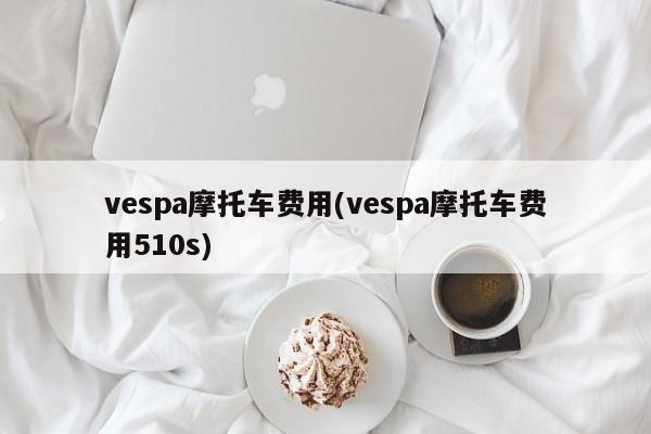 vespa摩托车费用(vespa摩托车费用510s)