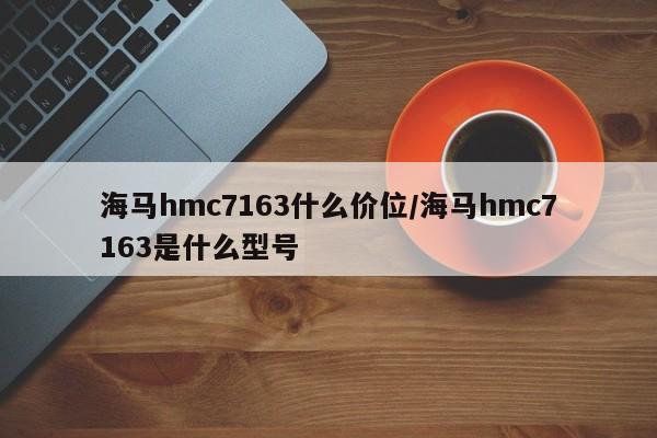 海马hmc7163什么价位/海马hmc7163是什么型号