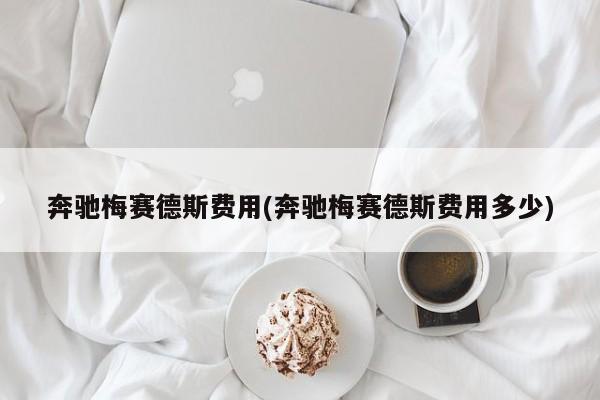 奔驰梅赛德斯费用(奔驰梅赛德斯费用多少)