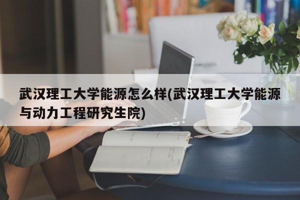 武汉理工大学能源怎么样(武汉理工大学能源与动力工程研究生院)