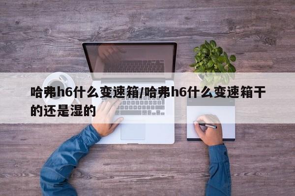 哈弗h6什么变速箱/哈弗h6什么变速箱干的还是湿的