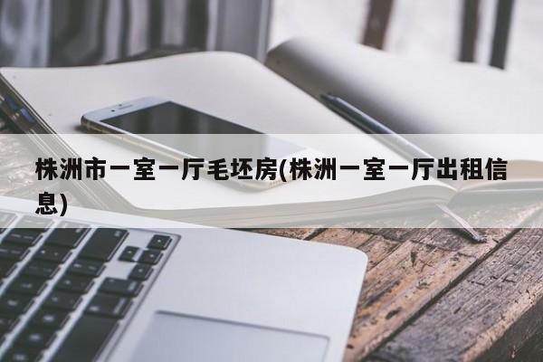 株洲市一室一厅毛坯房(株洲一室一厅出租信息)