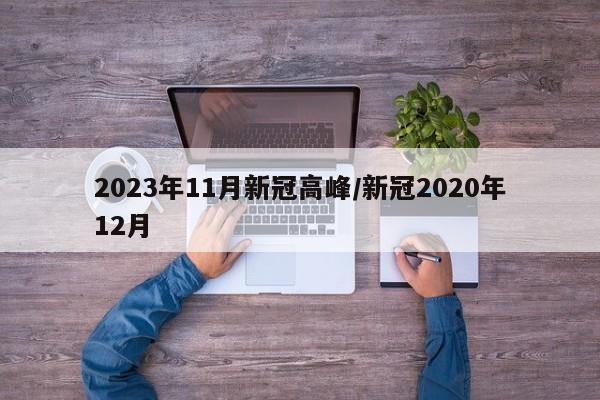 2023年11月新冠高峰/新冠2020年12月
