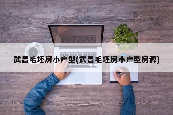 武昌毛坯房小户型(武昌毛坯房小户型房源)