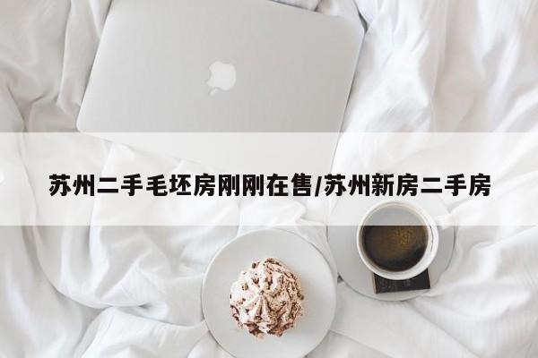 苏州二手毛坯房刚刚在售/苏州新房二手房