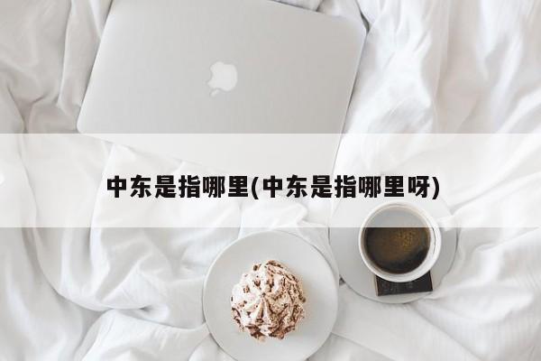 中东是指哪里(中东是指哪里呀)
