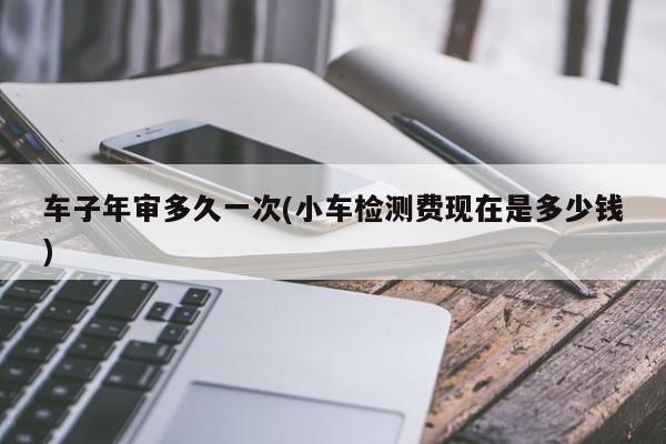 车子年审多久一次(小车检测费现在是多少钱)